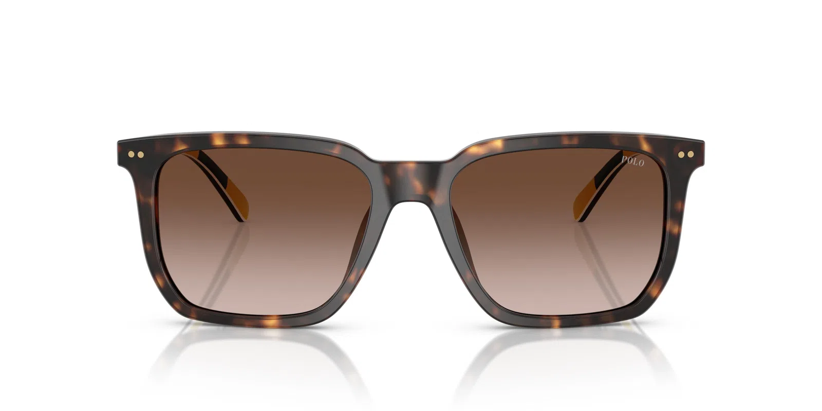 Polo 4224U Sunglasses - view 19